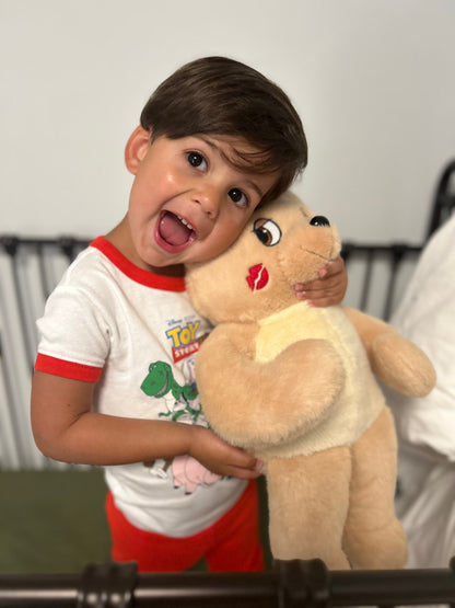 Dreamy Sugar Teddy Bear - Official Merch